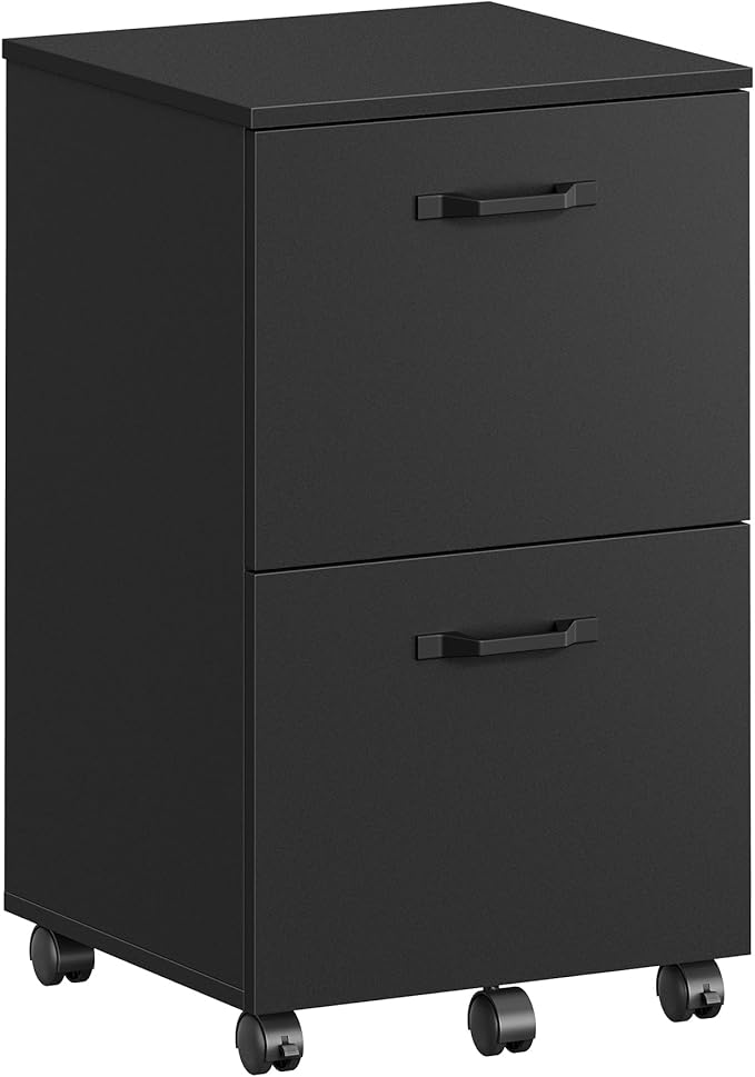 VASAGLE 2-Drawer File Cabinet, Filing Cabinet for Home Office, Small Rolling Printer Stand, A4, Letter-Size Hanging Files, Assembly Required, Matte Black UOFC040B16